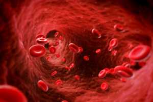foto bloedcellen.jpg